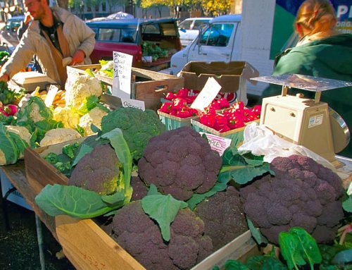 תרופות טבעיות