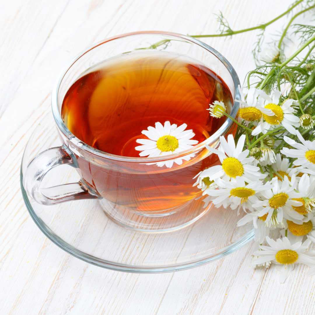 קמומיל בבונג חליטה