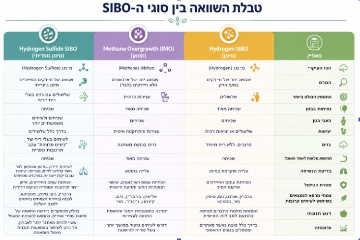 טבלת השוואה בין סוגי סיבו